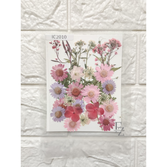 Mixed Dry Flower Sheet - D21