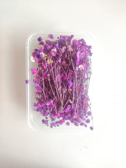 Baby Breath/ Gypsy Dry Flower Box