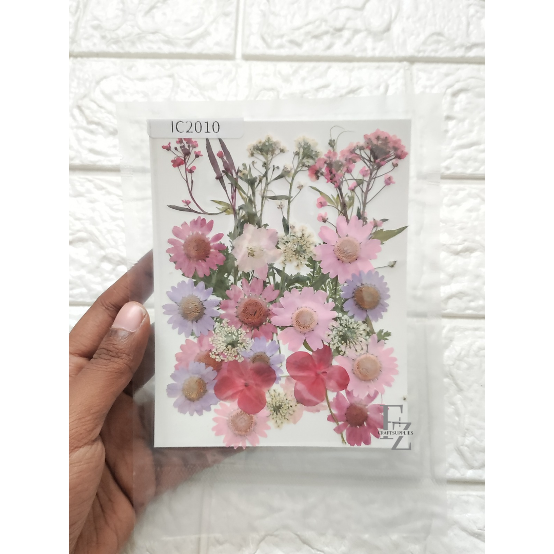 Mixed Dry Flower Sheet - D21