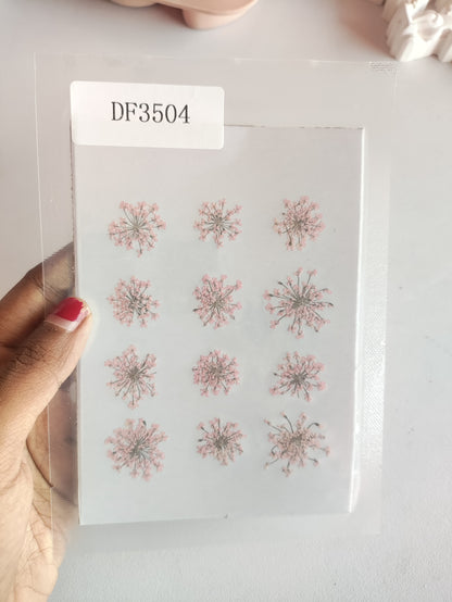 Queen Anne's Lace - L Pink