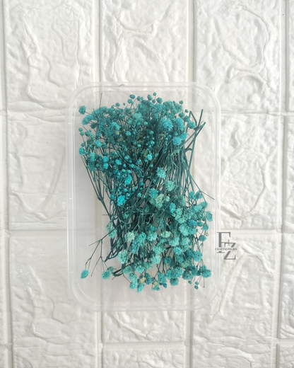 Baby Breath - Blue
