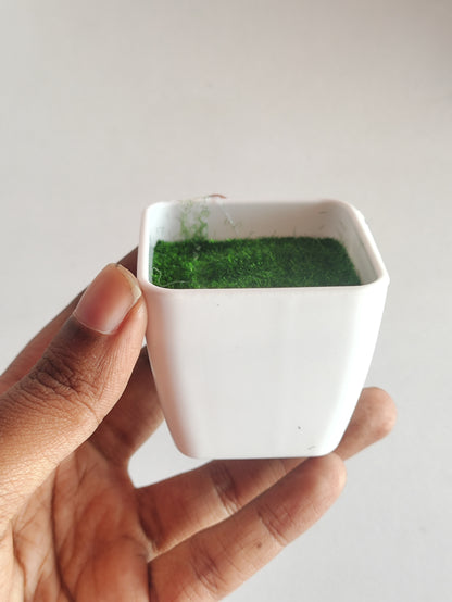 Mini Square Flower Pot with Artificial Grass