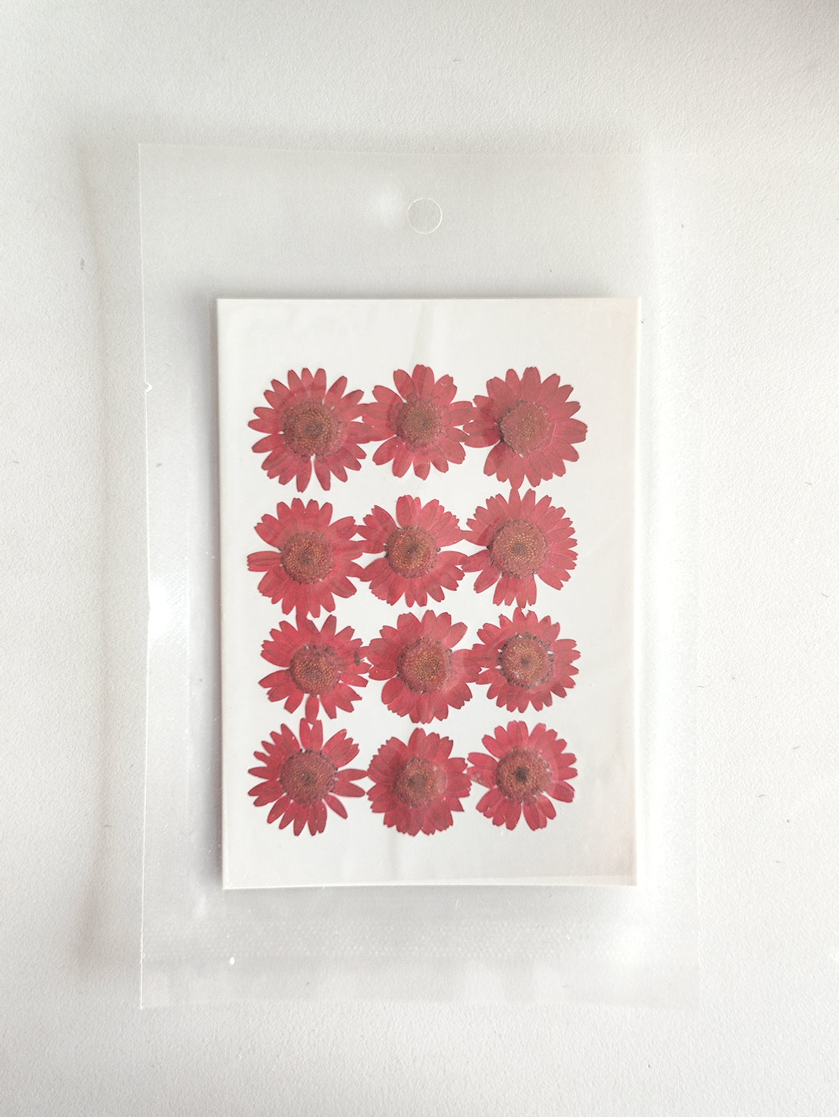 Pressed Daisy Flower Sheet - Red