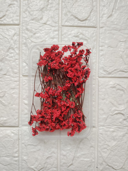 Dry Flower Box - B19