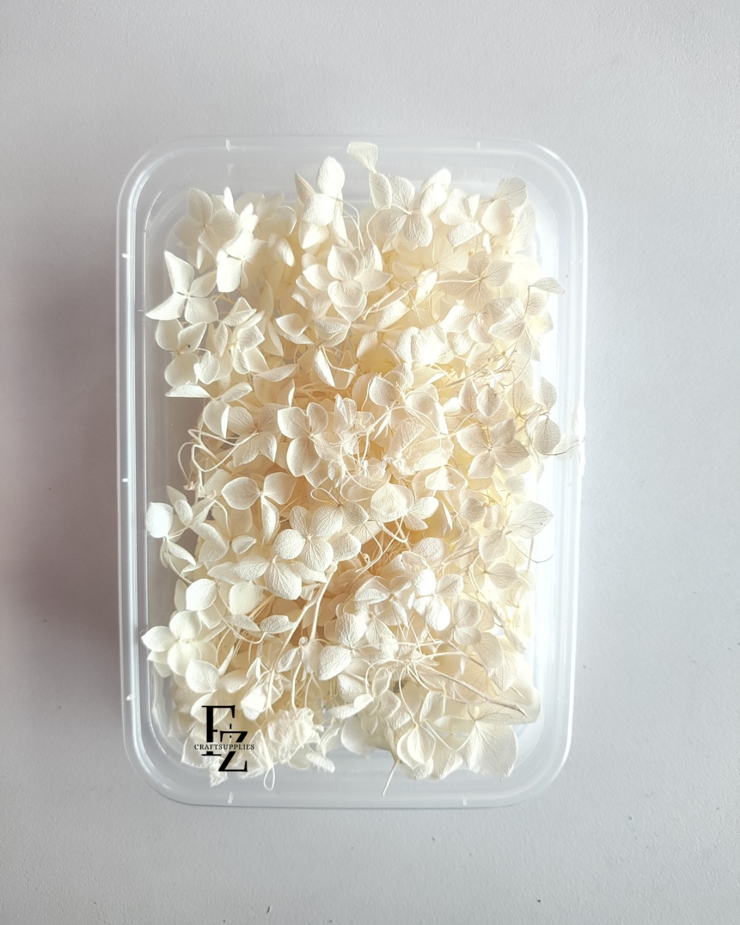 Hydrangea Dry Flower Box D51 - Half White