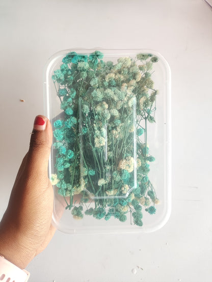 Baby Breath/ Gypsy Dry Flower Box