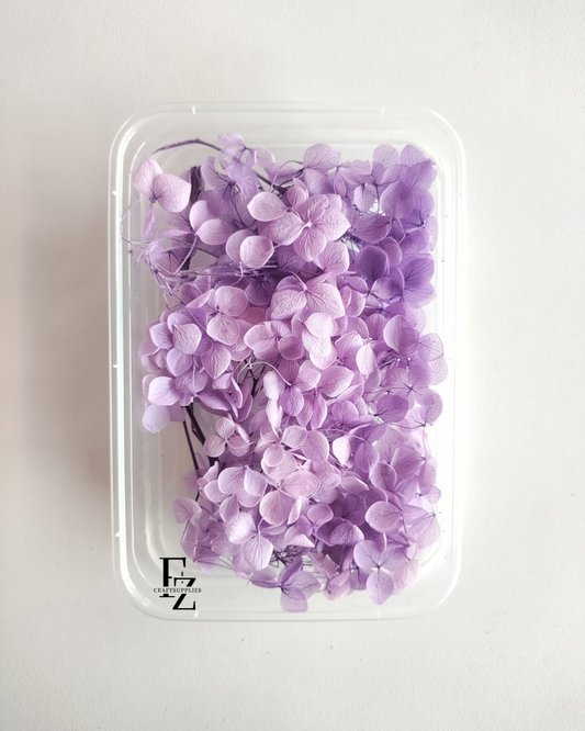 Hydrangea Dry Flower Box D51 - Violet