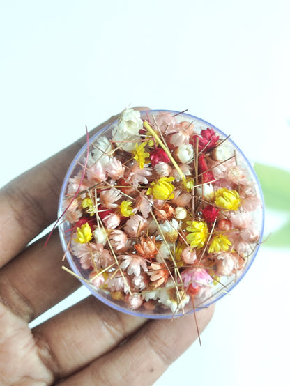 Mini Dry Flower box Type 3
