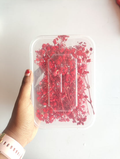 Baby Breath/ Gypsy Dry Flower Box