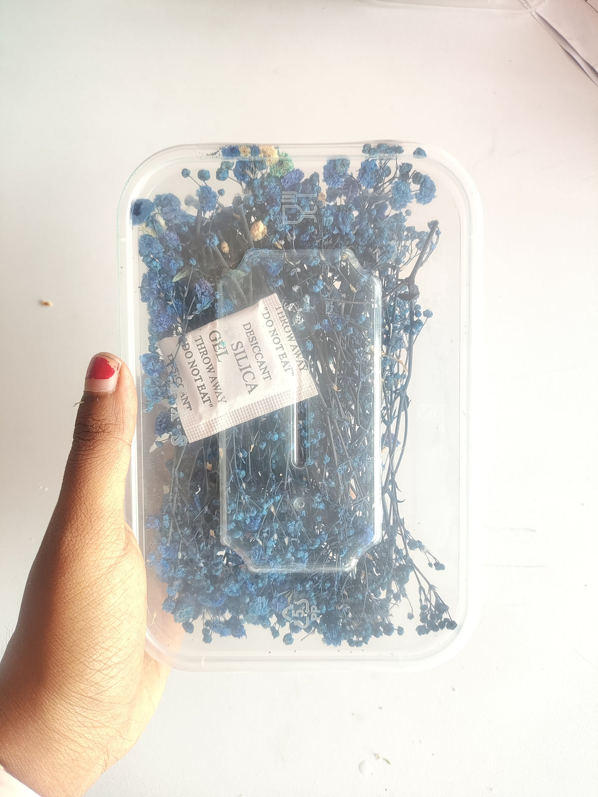 Baby Breath/ Gypsy Dry Flower Box