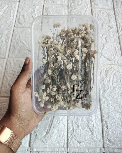 Dry Baby Breath/ Gypsy Box - White