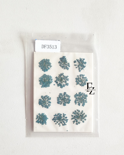 Queen Anne's Lace - Blue