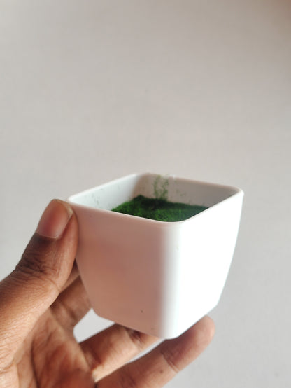 Mini Square Flower Pot with Artificial Grass
