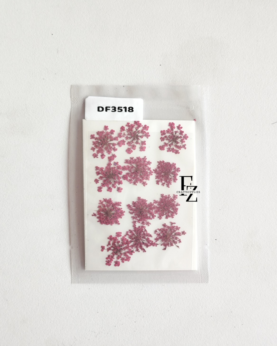 Queen Anne's Lace - D. Pink