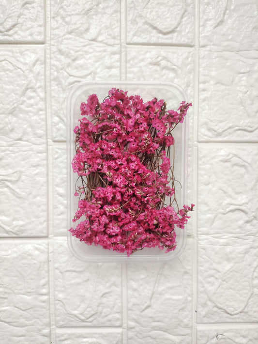 Dry Flower Box - B18