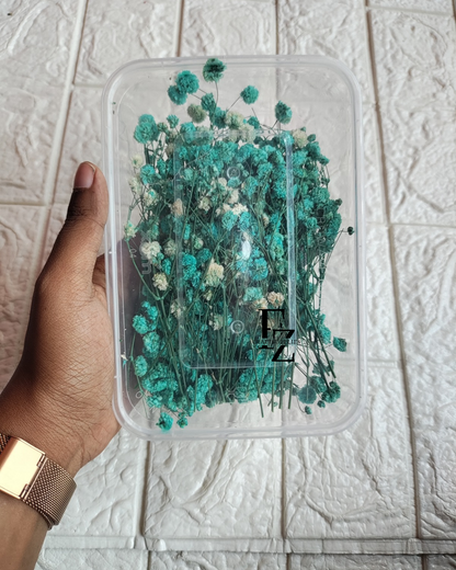 Dry Baby Breath/ Gypsy Box - Blue
