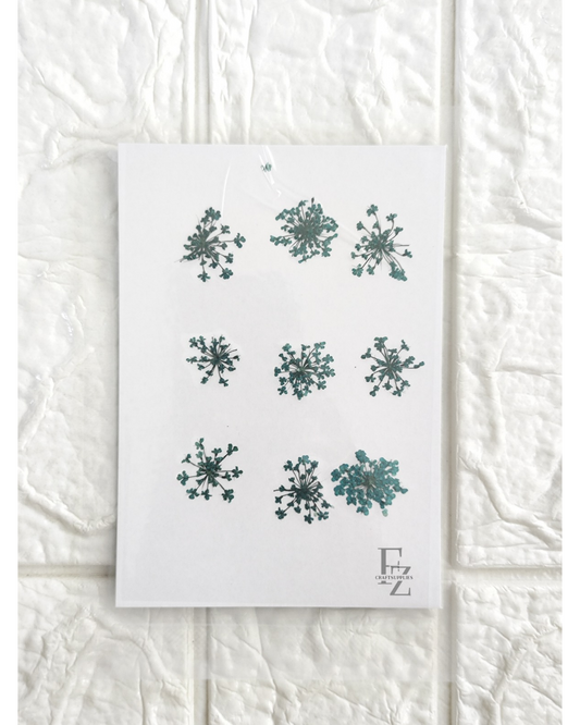 Queen Anne's Lace - Blue