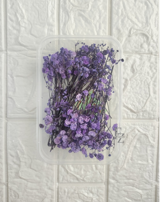 Baby Breath - Violet