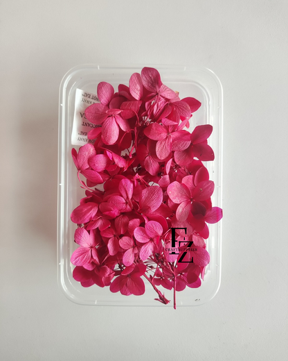Hydrangea Dry Flower Box D51 - Magenta