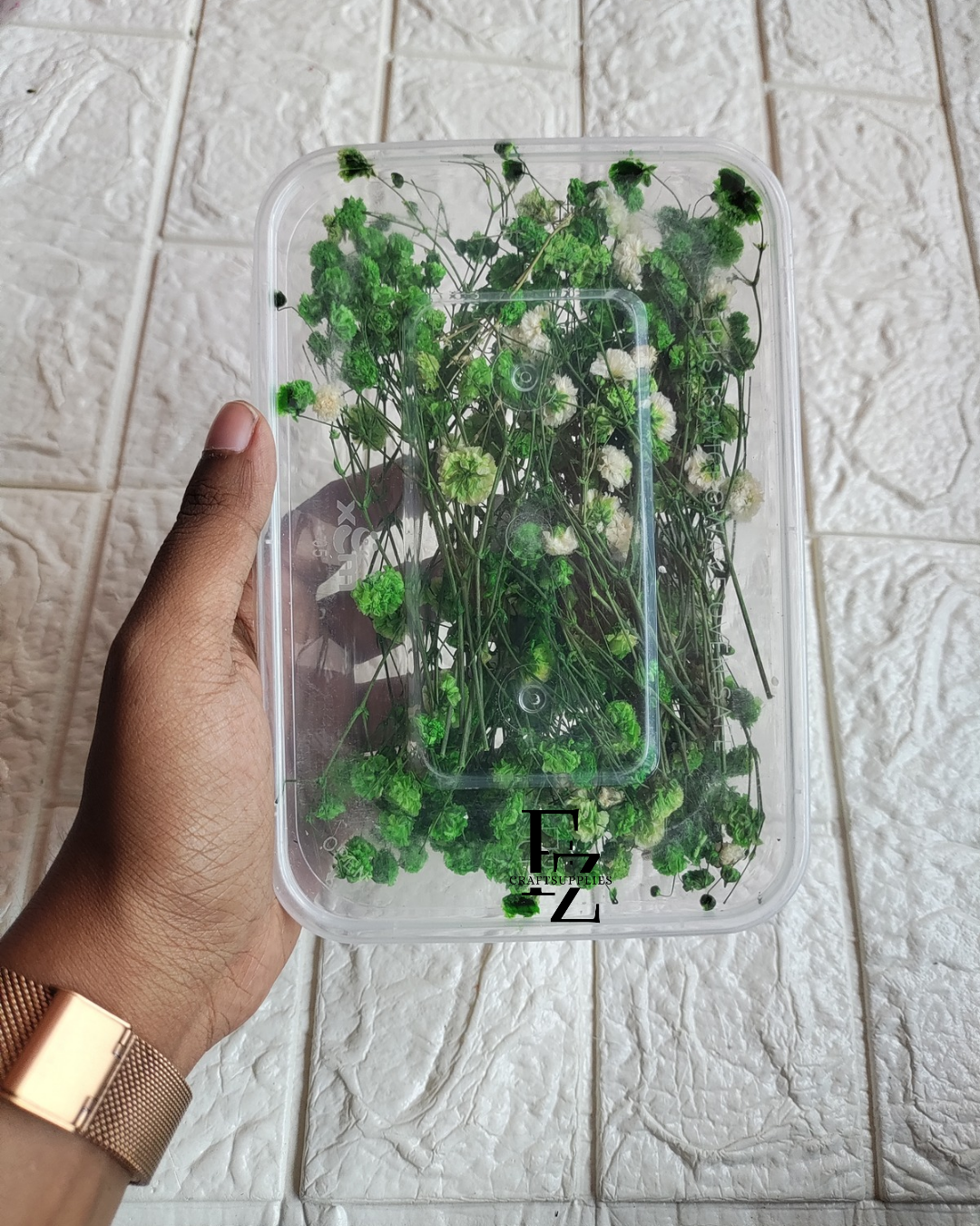 Dry Baby Breath/ Gypsy Box - Green