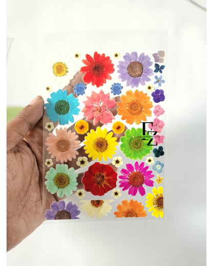 Mix Daisy Peel off Sticker