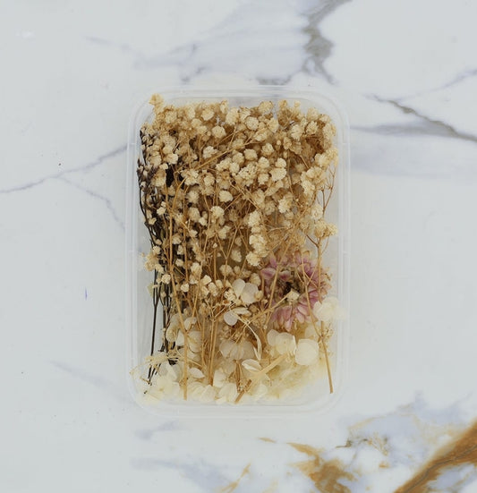 Dry flower box - B33