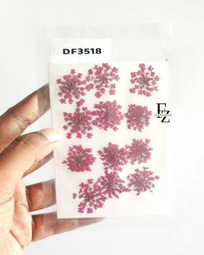 Queen Anne's Lace - D. Pink