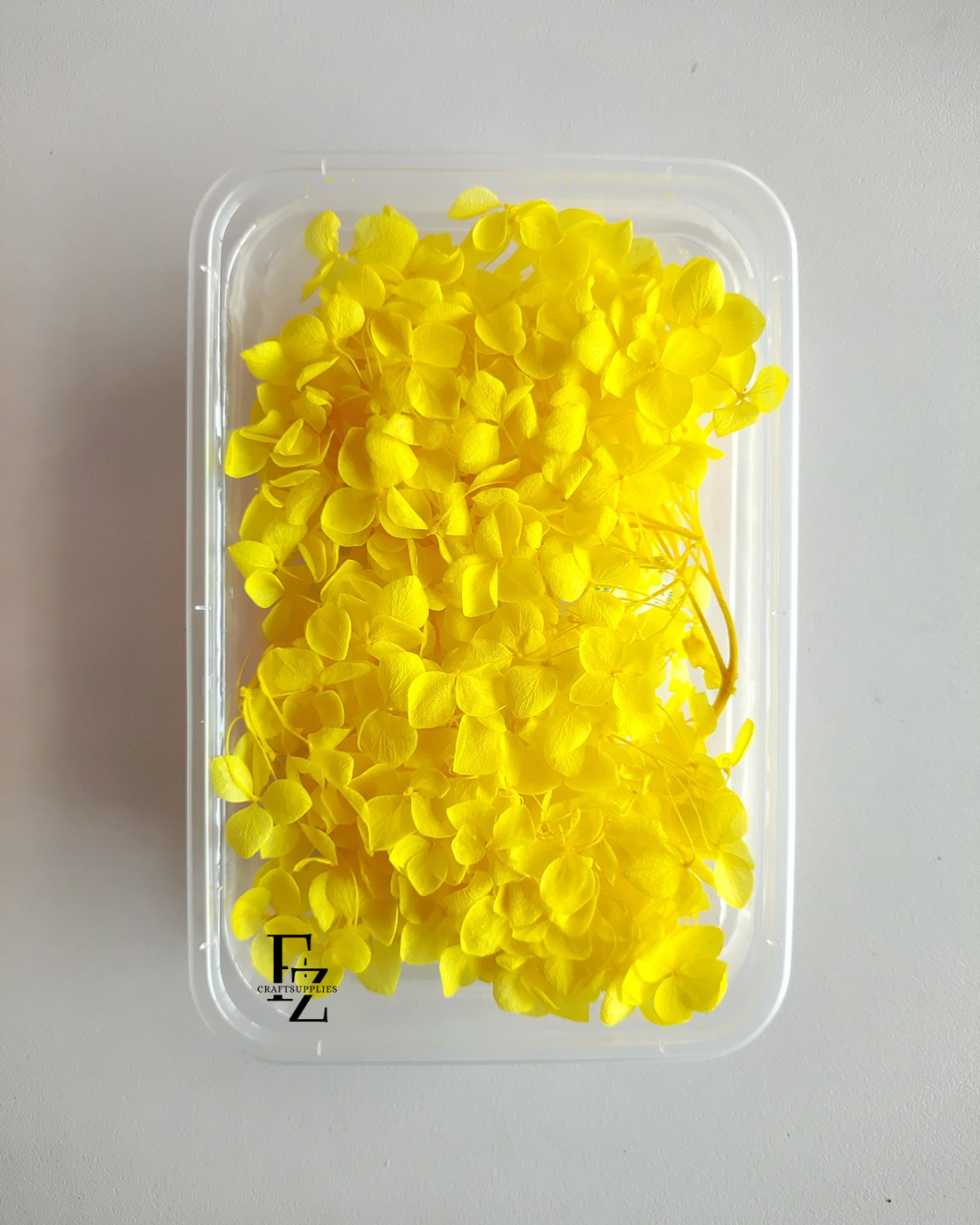 Hydrangea Dry Flower Box D51 - Yellow