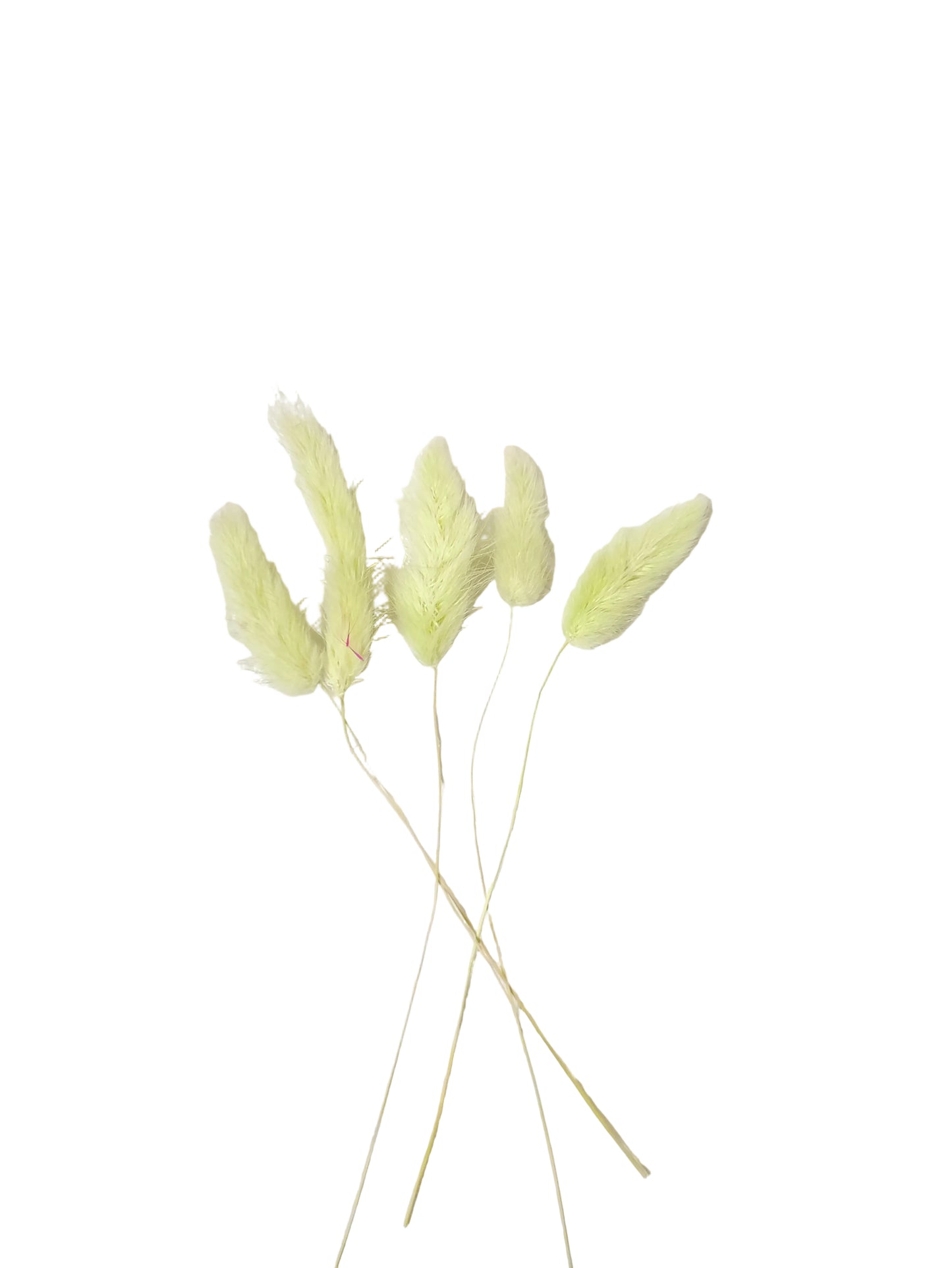Bunny Tails Green - 5 Pieces
