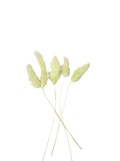 Bunny Tails Green - 5 Pieces