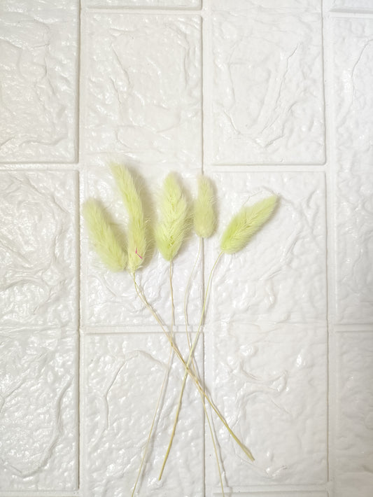 Bunny Tails Green - 5 Pieces