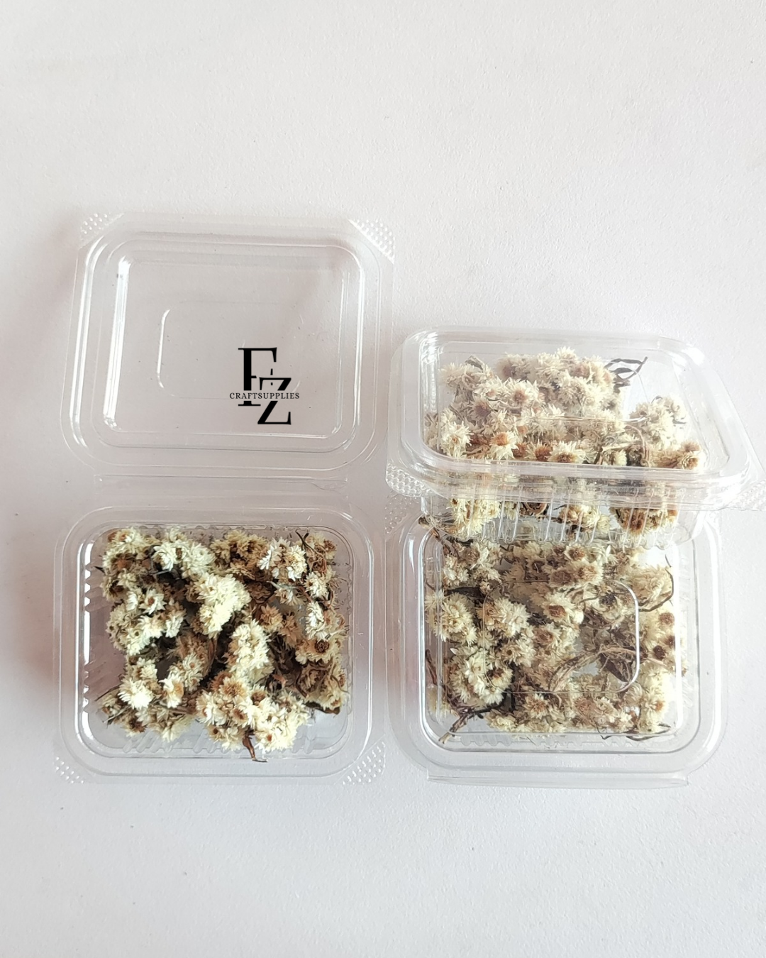 Himalayan Daises - White