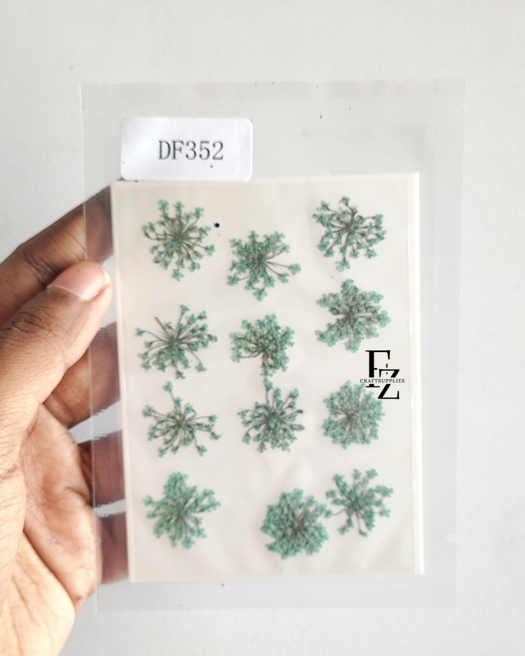 Queen Anne's Lace - Aqua Blue