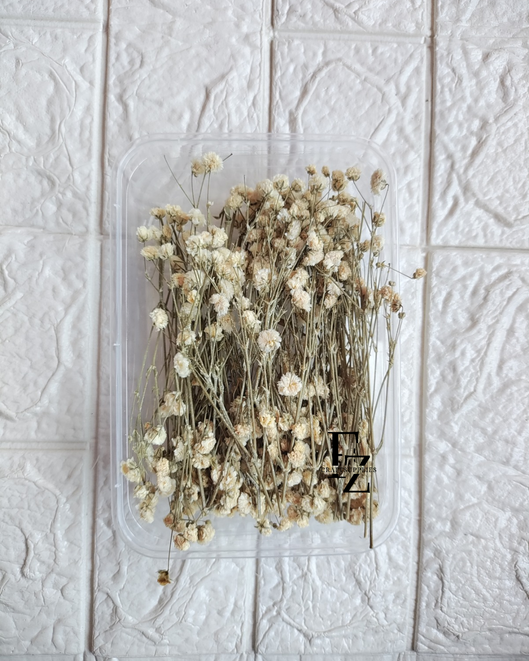 Dry Baby Breath/ Gypsy Box - White