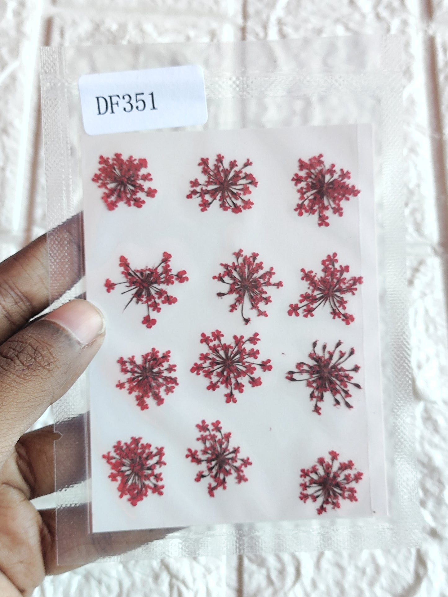 Queen Anne's Lace - Red