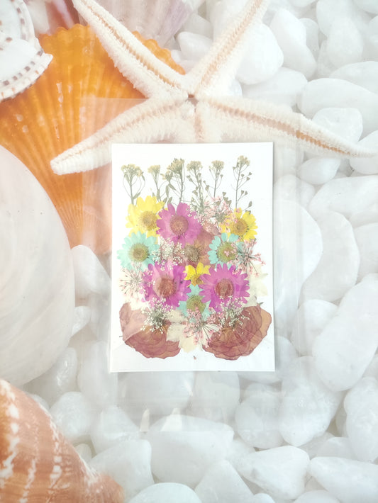 Dry Flower Sheet