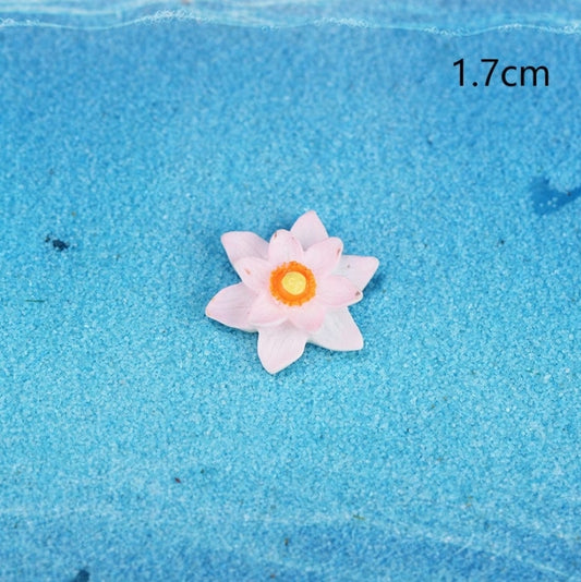 Lotus Miniature - Medium