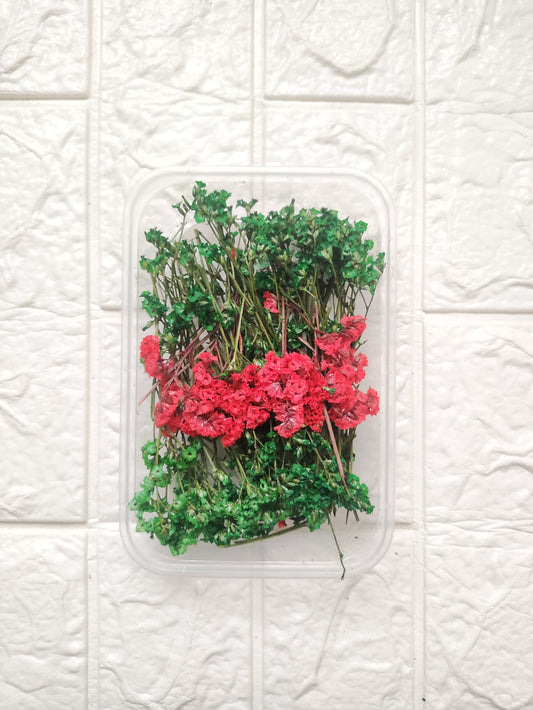 Dry Flower Box - B24