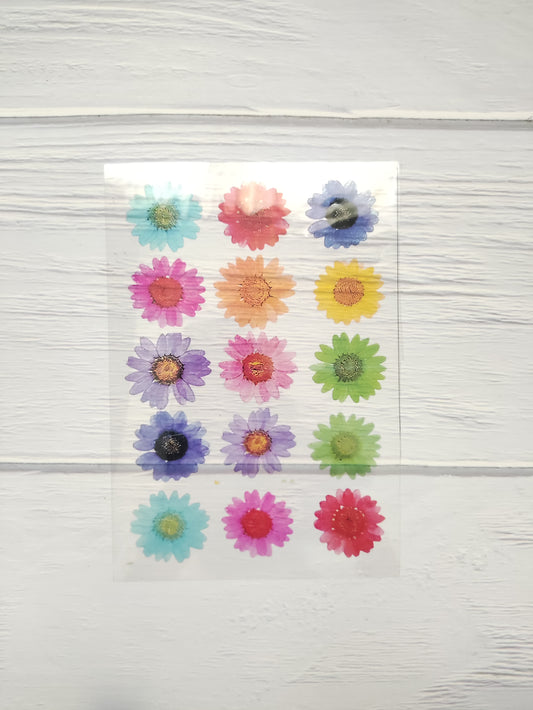 Daisy OHP Sheet A5 - D30