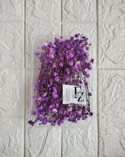 Dry Baby Breath/ Gypsy Box - Violet