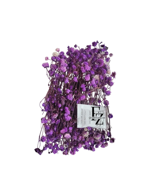 Dry Baby Breath/ Gypsy Box - Violet