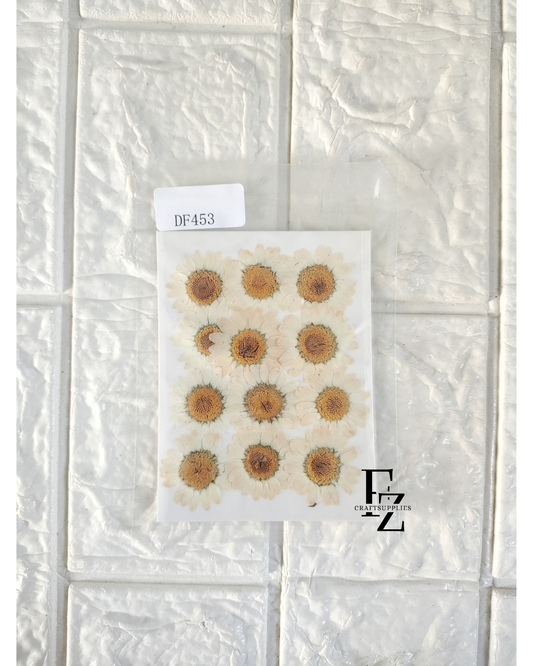 Half White Daisy Flower Sheet