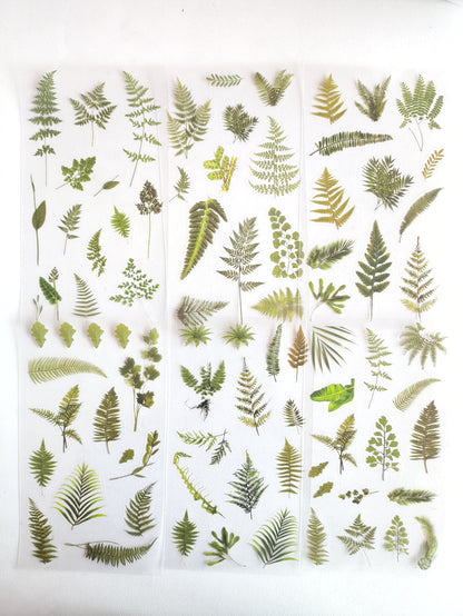 Fern Grass Plant Sticker - 1 Pack (6 sheets)