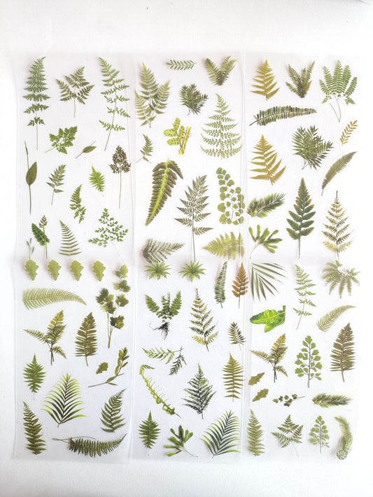 Fern Grass Plant Sticker - 1 Pack (6 sheets)