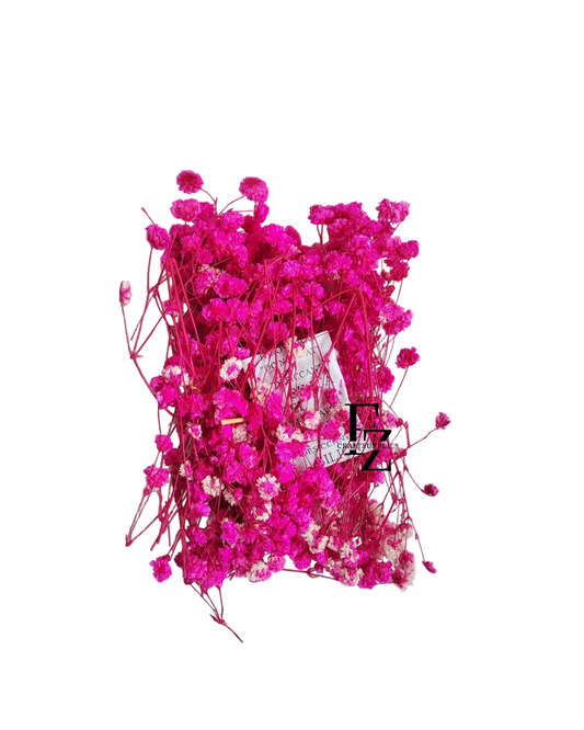 Dry Baby Breath/ Gypsy Box - Rani Pink