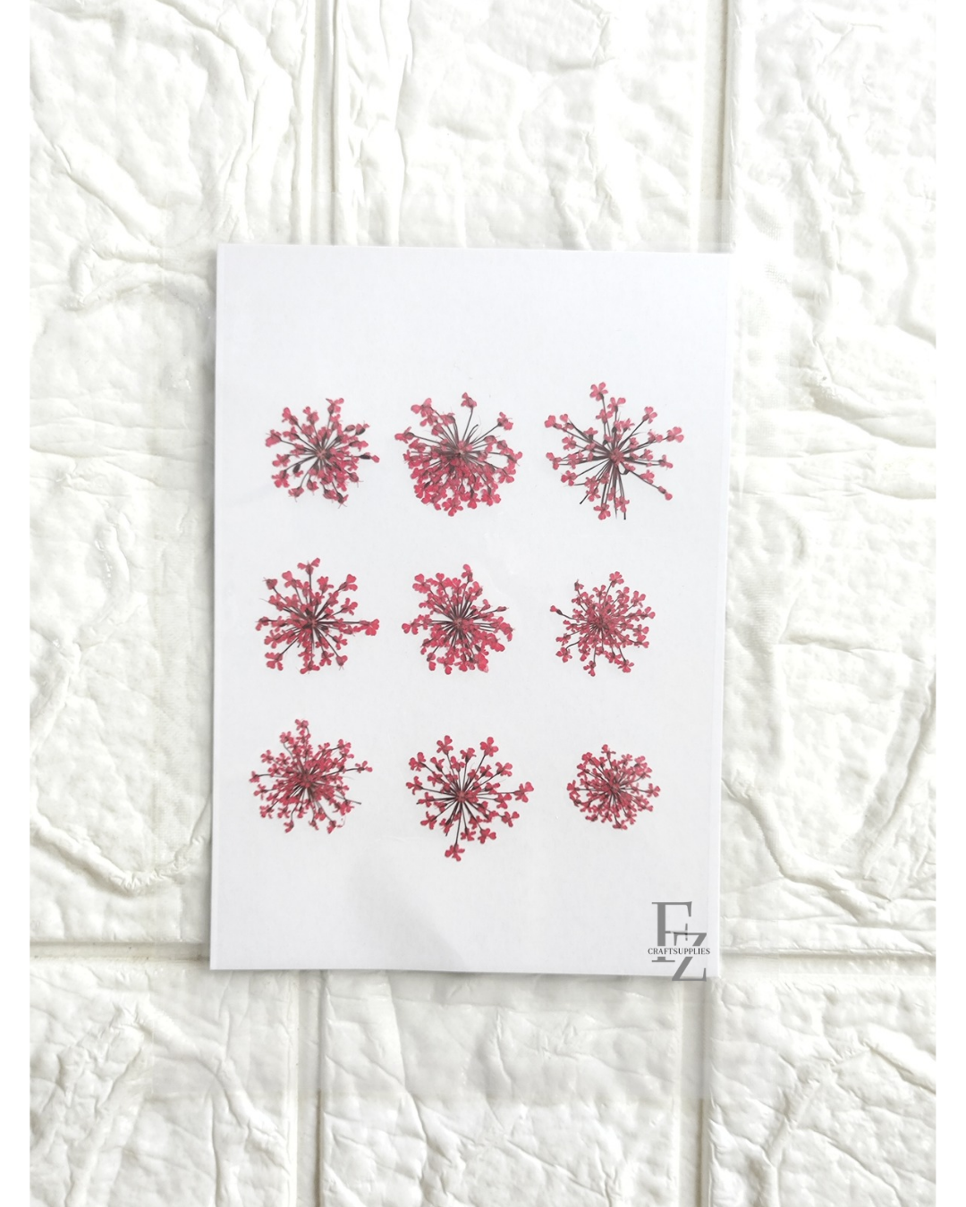 Queen Anne's Lace - Red