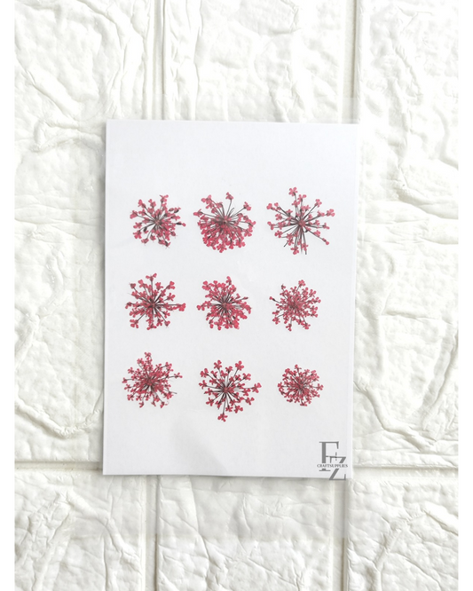 Queen Anne's Lace - Red