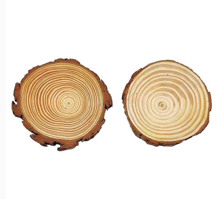 Wooden Slice/ Log 12-13 cm - 1 Piece
