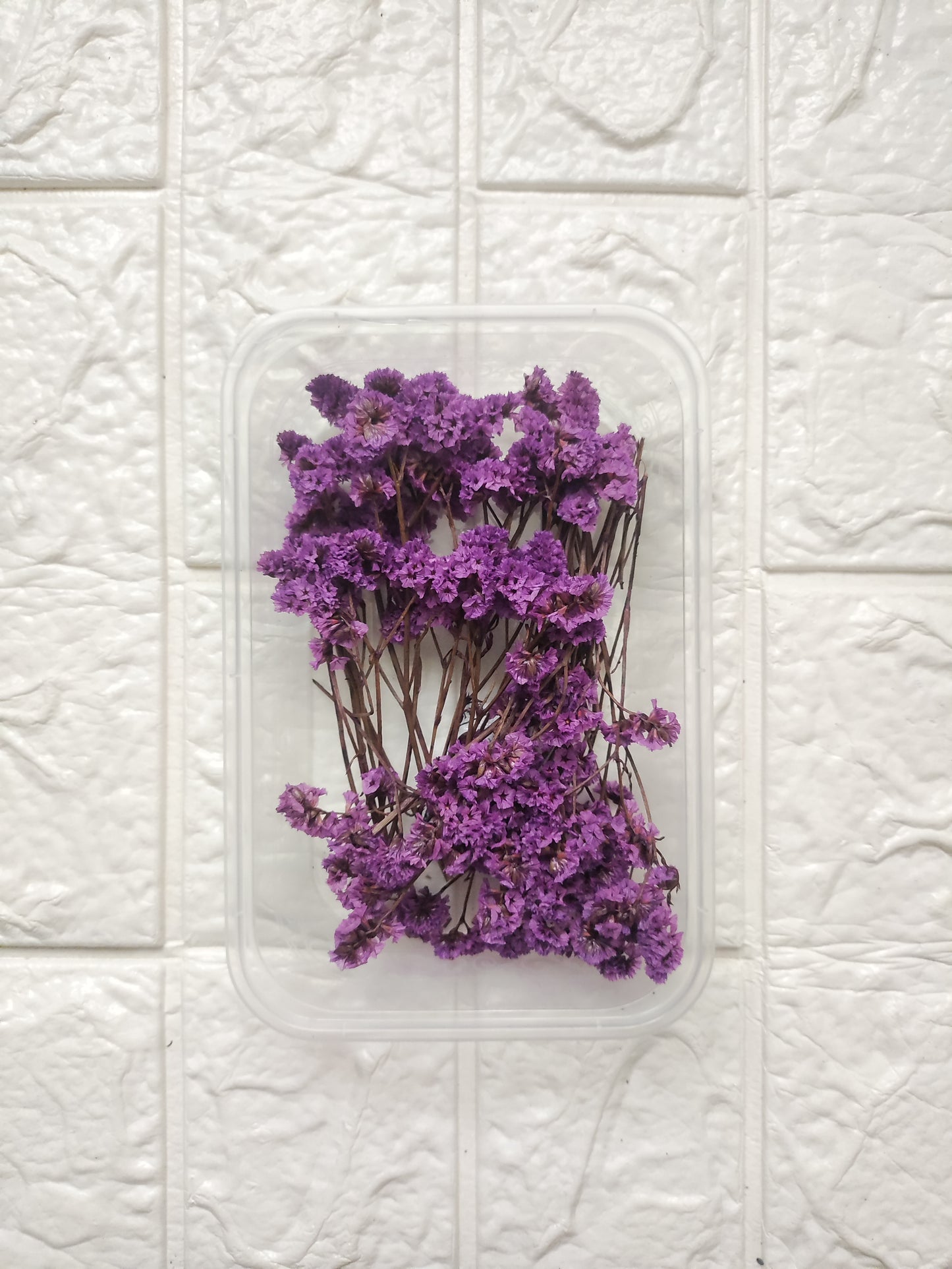 Dry Flower Box - B17