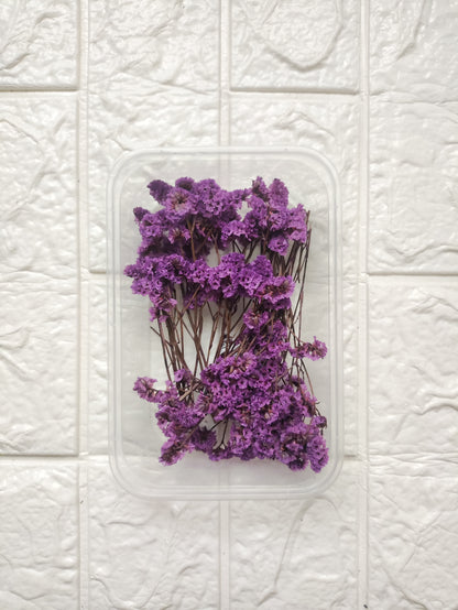 Dry Flower Box - B17